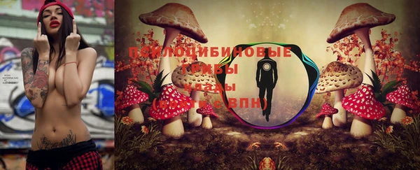 дурь Липки