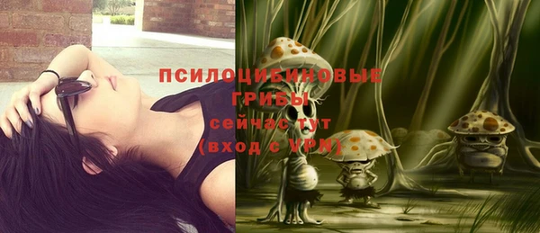 дурь Липки