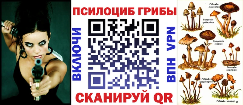kraken как зайти  Голицыно  Галлюциногенные грибы Magic Shrooms  купить наркоту 